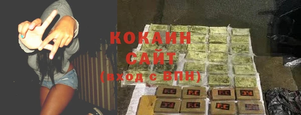 сатива Абинск