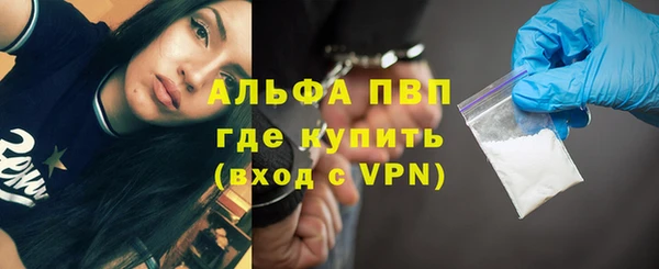 сатива Абинск