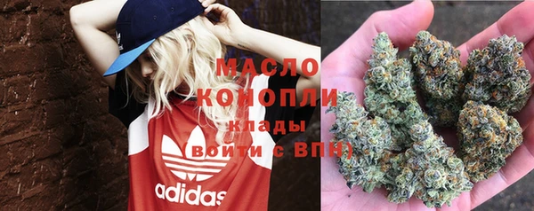 сатива Абинск