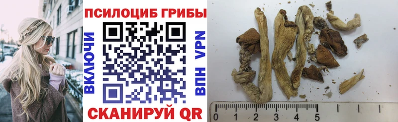 закладка  Котовск  Псилоцибиновые грибы ЛСД 
